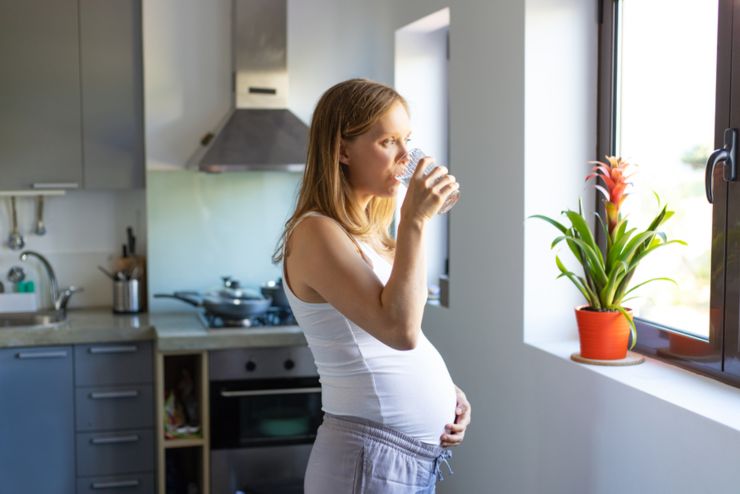 Pensive expectant mother drinking water and looking through window. Pregnant woman with glass of water standing in kitchen and looking away. Pregnancy and healthcare concept