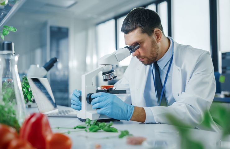 Beau scientifique masculin portant des lunettes de sécurité analysant une tomate cultivée en laboratoire à l'aide d'un microscope avancé. Microbiologiste travaillant sur des échantillons de molécules dans un laboratoire moderne doté d'équipement technologique. ; Numéro d'identification Shutterstock 1920339581 ; buy_order : article de blog ; emploi : article de blog