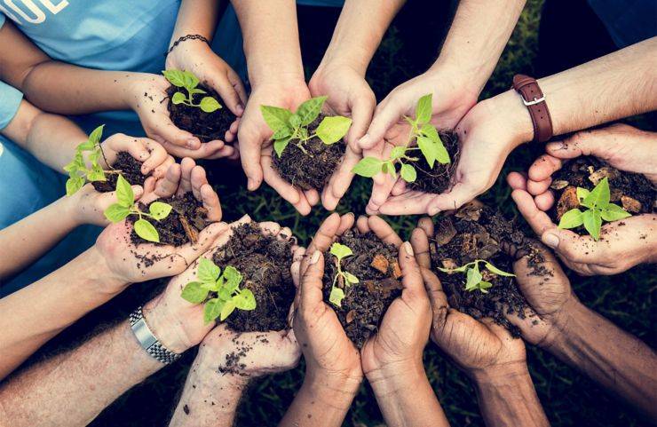 Les gens mains ventouses plante nourrir l'environnement ; Numéro d'identification Shutterstock 646067692 ; buy_order : article de blog ; emploi : article de blog