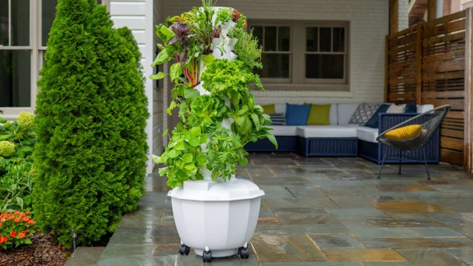 The Basics Of Growing Outdoors With Tower Garden Tower Garden