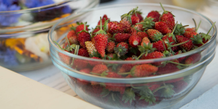 Alpine Strawberries