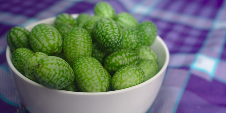 Cucamelons