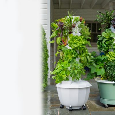 Indoor & Outdoor Growing Tower Garden