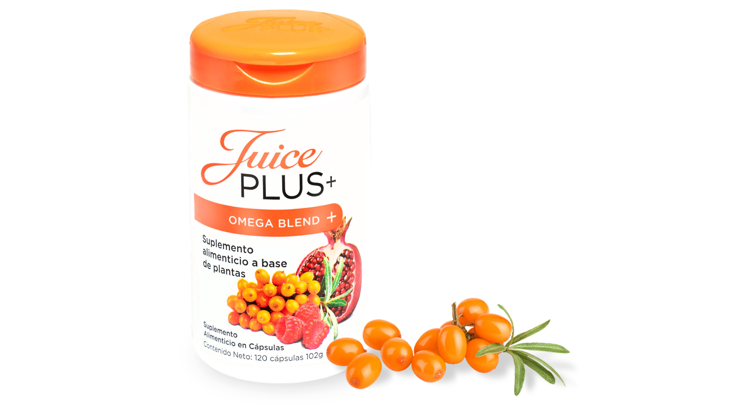 Juice Plus Shred 10 Recipe Book Besto Blog