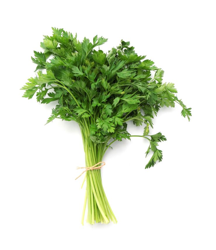 Bunch of fresh parsley isolated on white, top view; Shutterstock ID 1421032046; Job: -; Project Name: -; Client/Licensee: -; Art Buyer: -