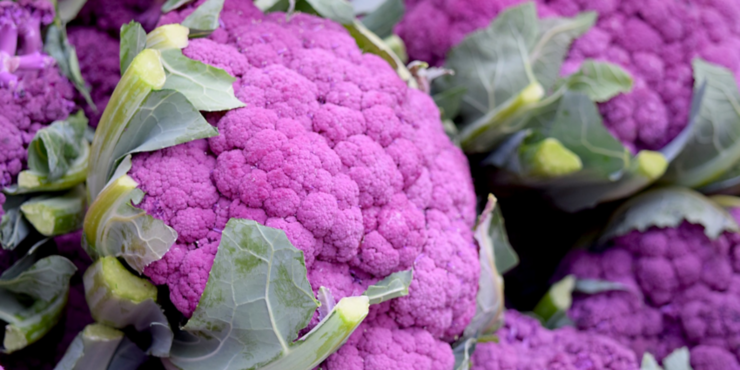 Purple Cauliflower