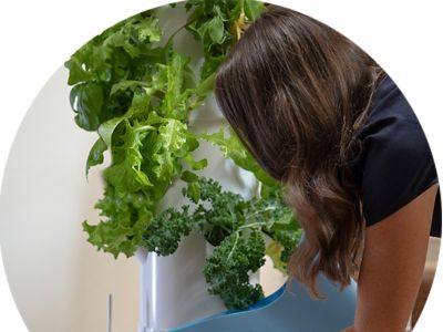 How Tower Garden Works Tower Garden