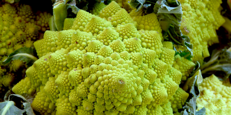 Romanesco