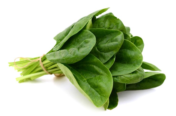 a bundle of fresh spinach on white background ; Shutterstock ID 274469018; Job: -; Project Name: -; Client/Licensee: -; Art Buyer: -