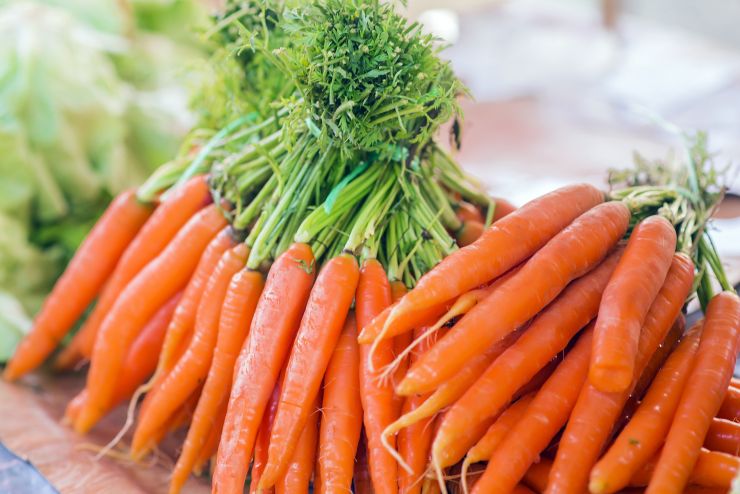 Carrots. Fresh organic carrots. Fresh garden carrots. Bunch of fresh organic carrots at market.