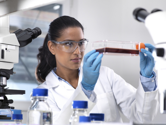 Biomedical Research, female scientist viewing stem cells developing in a culture jar during an experiment in the laboratory