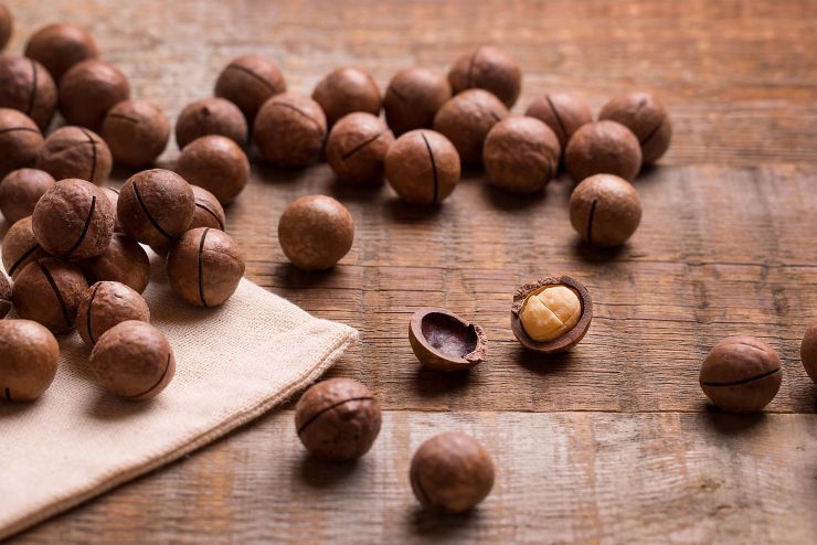 Macadamia nuts on a wooden background. A lot of macadamia nuts in a closed shell. Macadamia nuts.