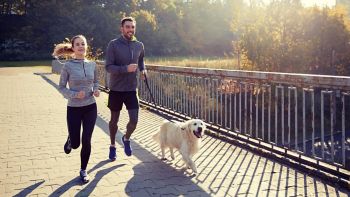 fitness, sport, people and jogging concept - happy couple with dog running outdoors; Shutterstock ID 581727106